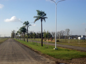Punta Chacra Roldán