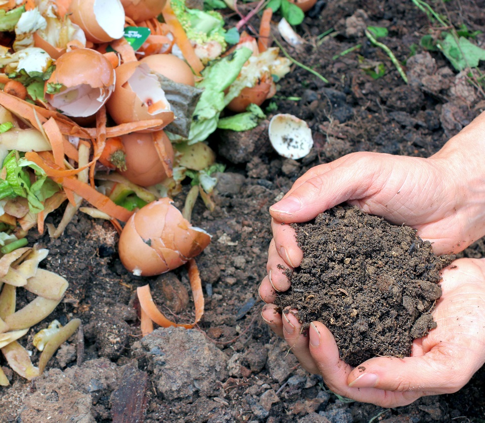 Hands are holding composted earth.